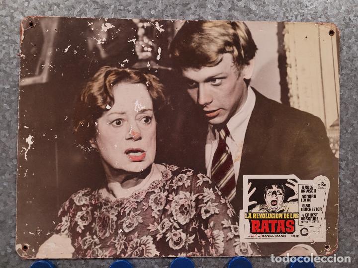 Cinema: LA REVOLUCION DE LAS RATAS.BRUCE DAVISON, SANDRA LOCKE. FOTOCROMO DE CARTON