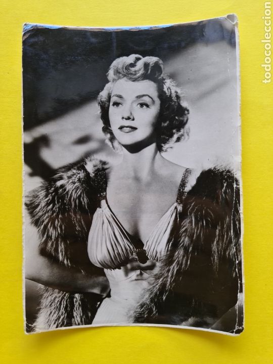 Kino: CINE - PATRICIA NEAL - FOTOGRAFIA 10,7 x 15,5 cm
