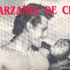 Cine: CARPETA TARZANES DE CINE (TARZÁN). 6 LÁMINAS TAMAÑO 31X43 CMS. ROYAL BOOKS, 1994