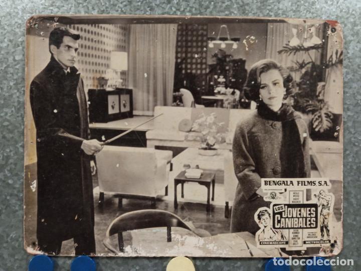 Cin&eacute;ma: Los j&oacute;venes can&iacute;bales. Robert Wagner, Natalie Wood, George Hamilton. FOTOCROMO DE CARTON