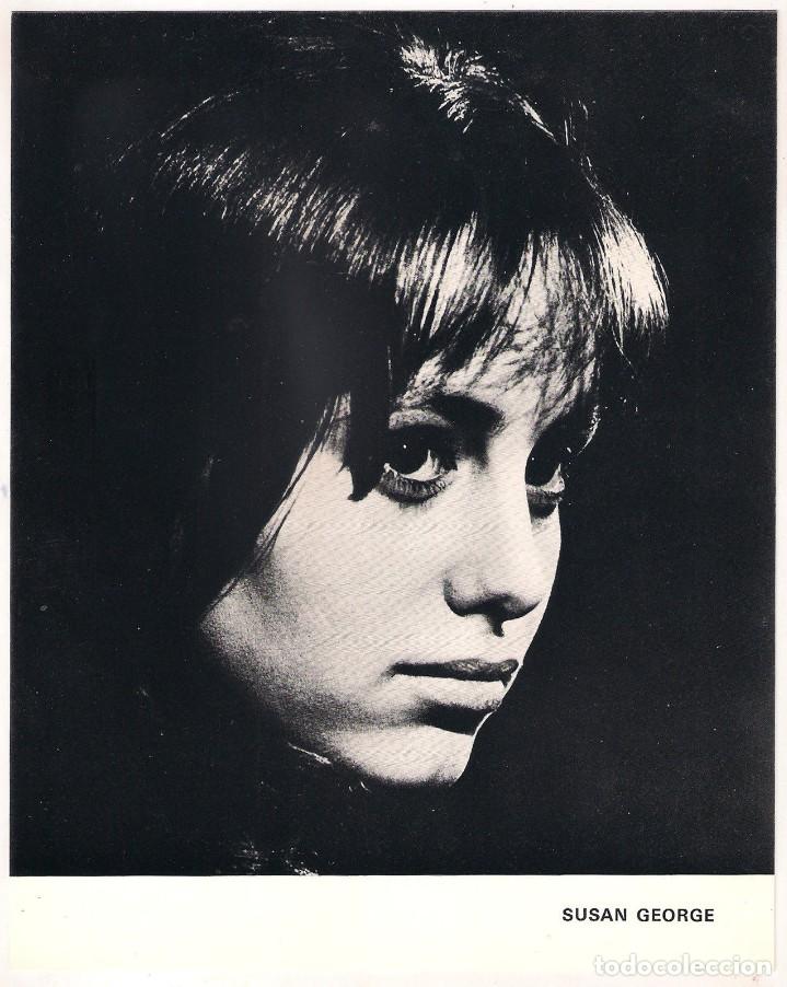 Cinema: F10918D SUSAN GEORGE FOTO B/N ORIGINAL INGLESA