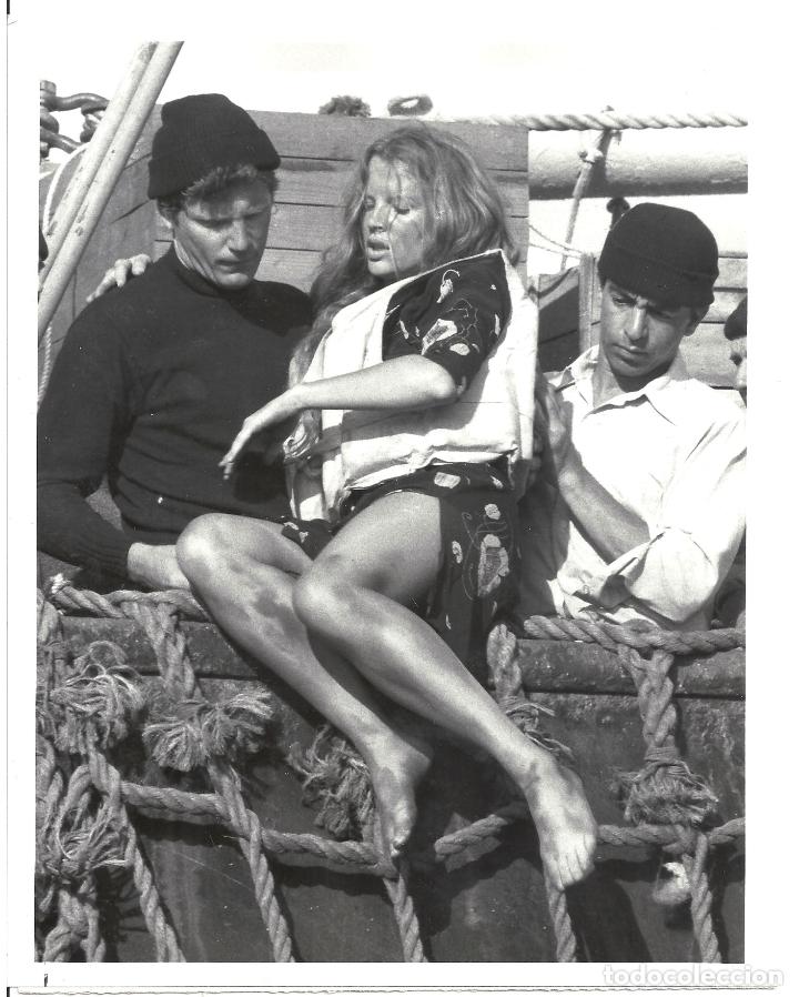 Cinema: F31967 KIM BASINGER DE AQUI A LA ETERNIDAD TV SERIES FOTO B/N ORIGINAL AMERICANA