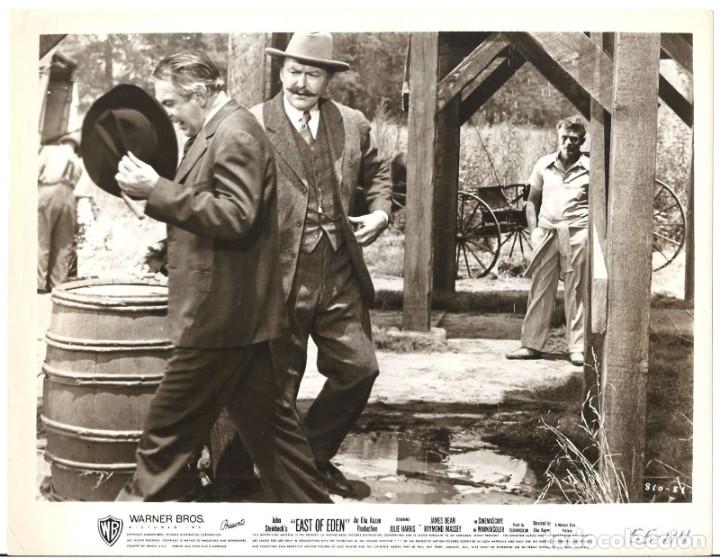 Cine: F17894D JAMES DEAN AL ESTE DEL EDEN FOTO B/N ORIGINAL AMERICANA