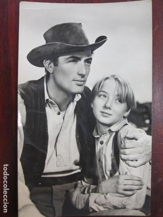 Cine: gregory peck Claude Jarman Jr. - postal original b/n - El despertar the yearling