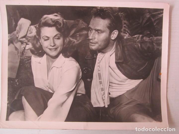 Cine: FOTO INEDITA DE 18X24 DE CUANDO RUGE LA MARABUNTA 1954 CON CHARLTON HESTON Y ELEANOR PARKERTON