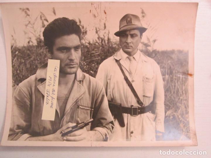 Cine: FOTO INEDITA DE 18X24 DE LA CHICA DE RIO 1954 CON SOFIA LOREN YGERARD OURY