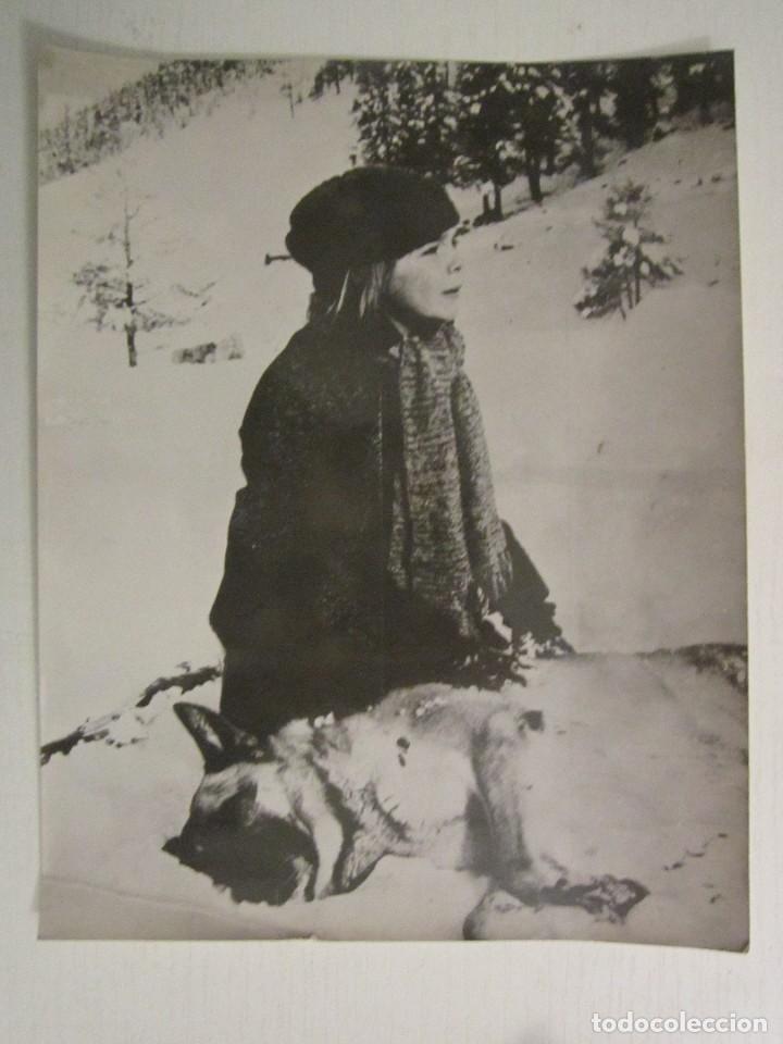 Cine: FOTO INEDITA DE 18X24 DE LA LLAMADA DEL LOBO CON JOAN COLLINS