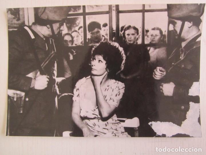 Cine: FOTO INEDITA DE 12X18 DE LOS GIRASOLES CON SOFIA LOREN