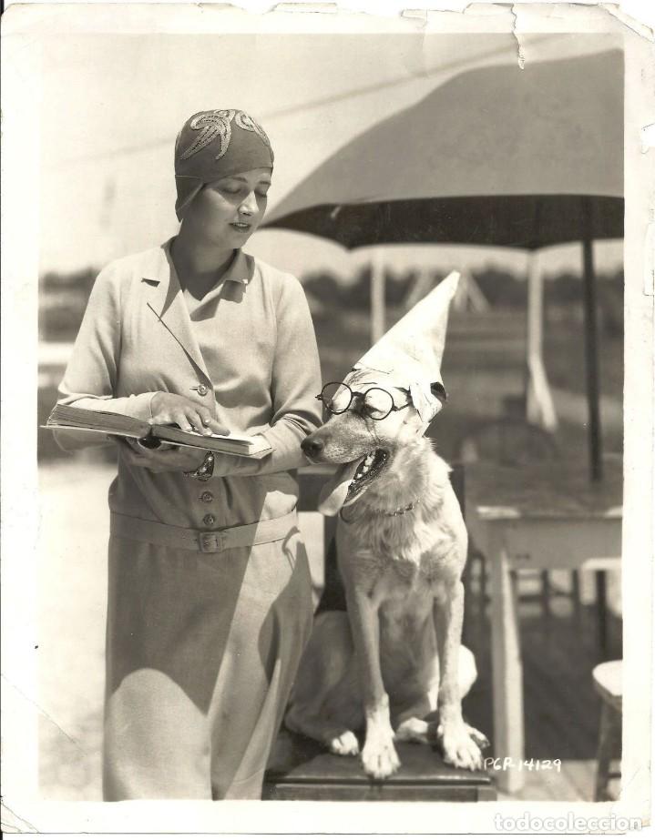 Kino: F25728D KAY FRANCIS CON PERRO FOTO B/N ORIGINAL AMERICANA