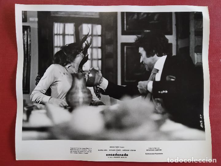 Cinema: LA ENCADENADA. Marisa Mell, Richard Conte, Anthony Steffen. FOTO ORIGINAL ESPA&Ntilde;OLA
