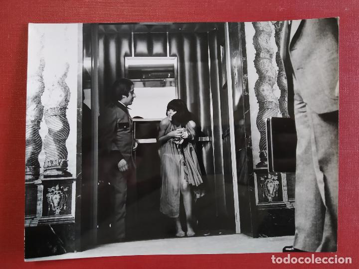 Cinema: M&aacute;s fina que las gallinas. Mar&iacute;a Luisa San Jos&eacute; FOTO ORIGINAL ESPA&Ntilde;OLA IZARO FILMS