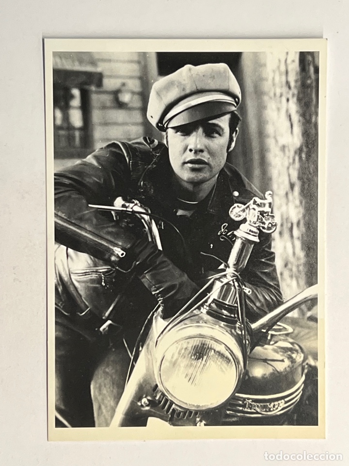 Cine: MARLON BRANDO, by laszlo benedek. Postal fotogr&aacute;fica francesa (a.1995) S/C