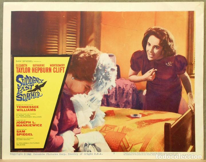 Cine: LCJ 540D DE REPENTE EL ULTIMO VERANO SUMMER ELIZABETH TAYLOR FOTOCROMO LOBBY CARD ORIGINAL AMERICANO