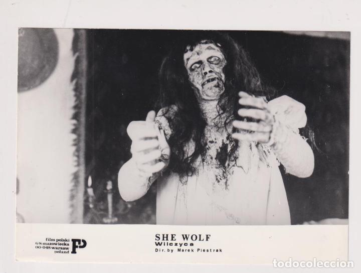 Cine: She Wolf. Foto-cromo (13x18) Film Polacos