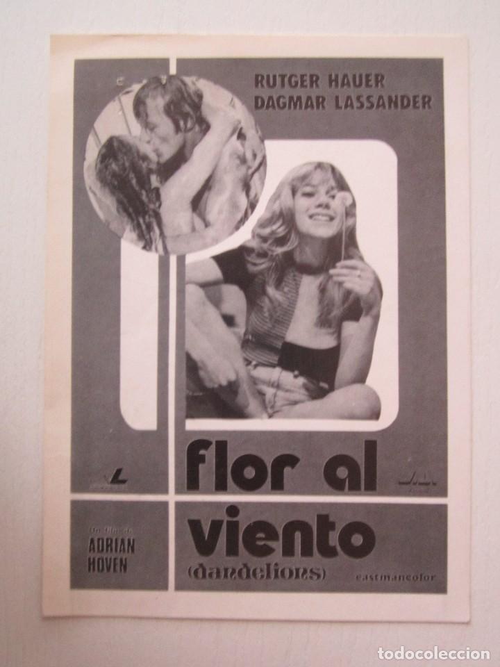 Cinema: CARTEL DE CINE DE 11X15 FLOR AL VIENTOCON RUTGER HAUER Y DAGMAR LASSANDER