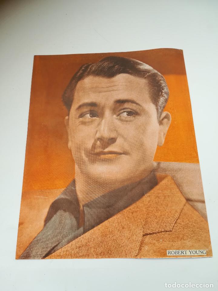 Cin&eacute;ma: LAMINA. IMAGEN DE ARTISTA DE CINE. 19 X 24 CM. ROBERT YOUNG