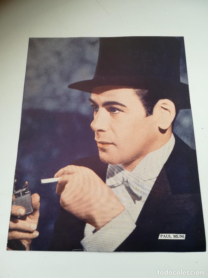 Cin&eacute;ma: LAMINA. IMAGEN DE ARTISTA DE CINE. 19 X 24 CM. PAUL MUNI