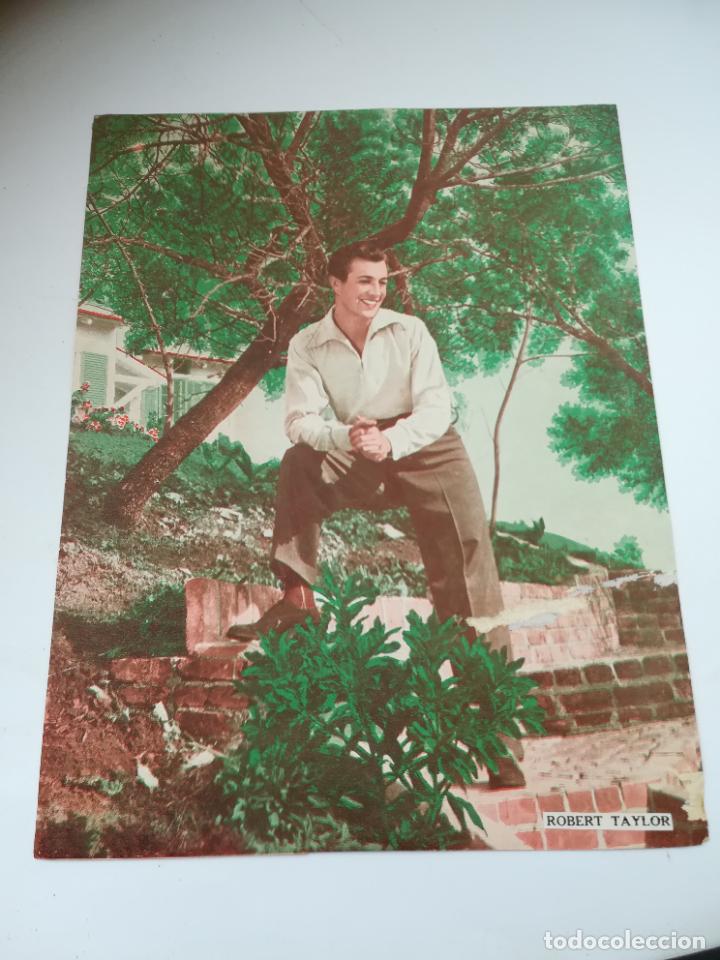 Cin&eacute;ma: LAMINA. IMAGEN DE ARTISTA DE CINE. 19 X 24 CM. ROBERT TAYLOR