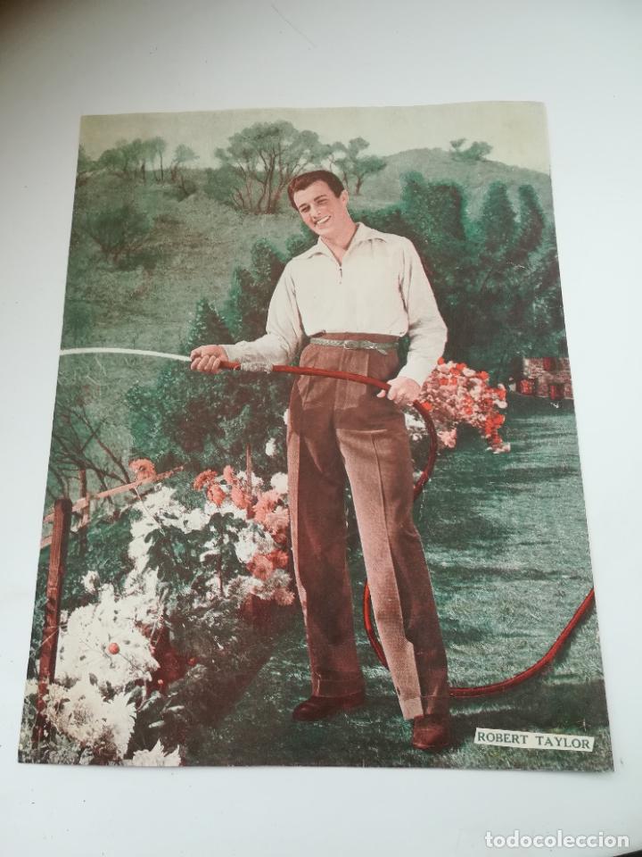 Cin&eacute;ma: LAMINA. IMAGEN DE ARTISTA DE CINE. 19 X 24 CM. ROBERT TAYLOR