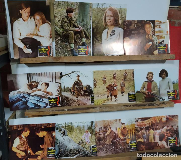 Cine: La m&aacute;scara y la piel. Glenda Jackson, Oliver Reed 12 FOTOCROMOS
