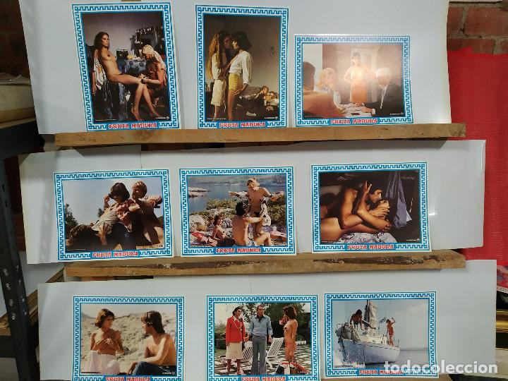 Cinema: Fruta madura. Betty Verg&egrave;s, Claus Richt, Olivia Pascal, DESNUDO 9 FOTOCROMOS