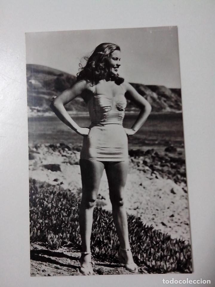 Cinema: FOTO POSTAL N&ordm; 355 AVA HORRING