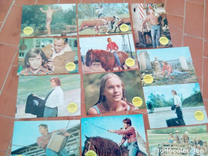 Cinema: fotocromos 12 de cine movie set completo ver fotos HAIL HEROE hail hero