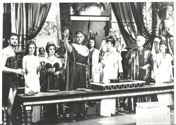Cinema: F14900D ROSSANA PODESTA STEWART GRANGER SODOMA Y GOMORRA FOTO B/N ORIGINAL ITALIANA