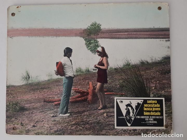 Cine: Se&ntilde;ora necesitada busca joven bien dotado. Lynn Endersson FOTOCROMO DE CARTON DURO