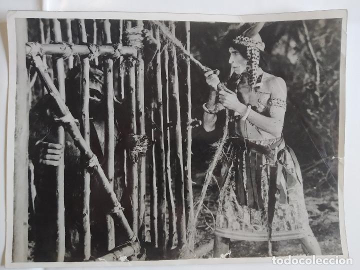 Cine: En la selva del terror. Frances Gifford, Tom Neal, Trevor Bardette FOTOGRAFIA ORIGINAL PRENSA CU&Ntilde;O