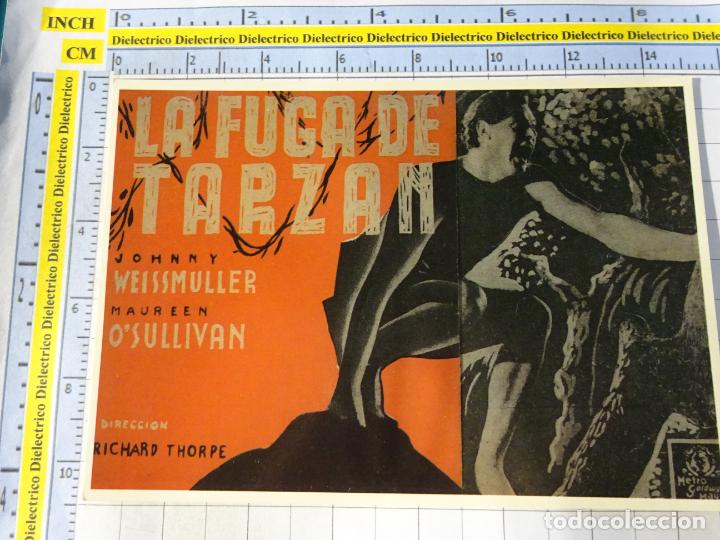 Cinema: POSTAL DE M&Aacute;LAGA / CINE. BENALM&Aacute;DENA UNA CIUDAD DE PEL&Iacute;CULA CARTEL LA FUGA DE TARZ&Aacute;N 67