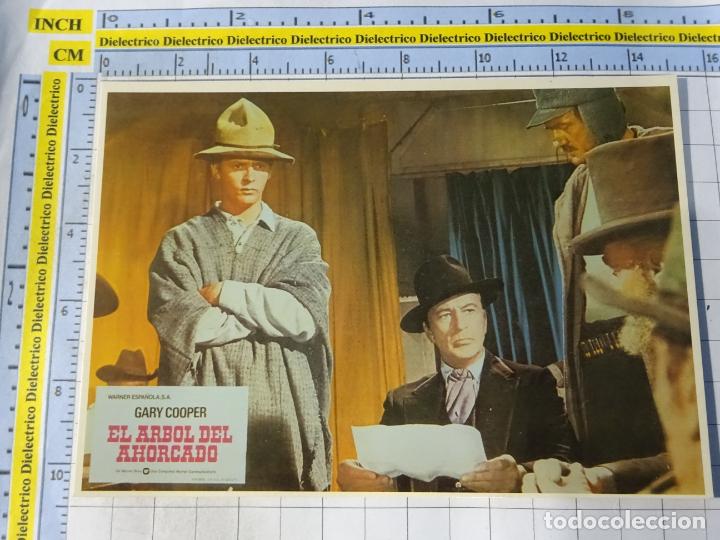 Kino: POSTAL DE M&Aacute;LAGA / CINE. BENALM&Aacute;DENA UNA CIUDAD DE PEL&Iacute;CULA CARTEL EL &Aacute;RBOL DEL AHORCADO 84