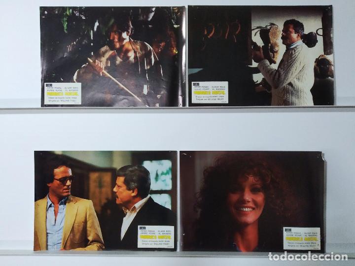 Cin&eacute;ma: Mordisco mortal. Peter Fonda, Oliver Reed, Kerrie Keane. 4 FOTOCROMOS ORIGINALES