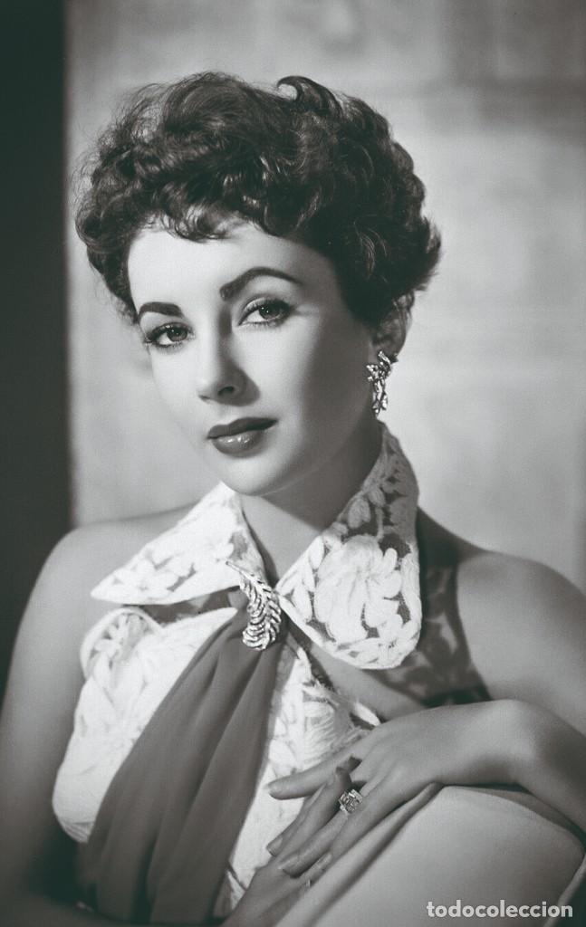 Cine: Elizabeth Taylor PHOTO POSTCARD MZ-RP