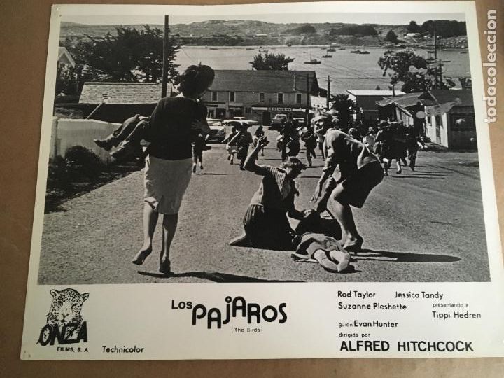 Cine: los pajaros the birds alfred hitchcock foto original reposicion