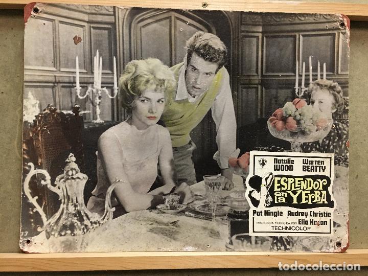 Cine: ABM85 ESPLENDOR EN LA HIERBA WARREN BEATTY BARBARA LOEDEN ELIA KAZAN FOTOCROMO CARTON ORIGINAL R-71