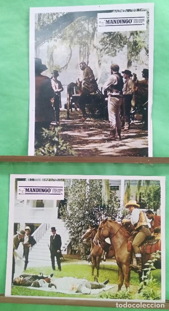 Cine: FOTOCROMO CINE -MANDINGO - KEN NORTON JAMES MASON SUSAN GEORGE - LOTE DE 2 - F4