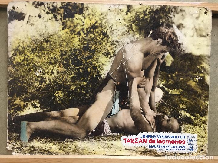 Cinema: ABN65 TARZAN DE LOS MONOS JOHNNY WEISSMULLER MAUREEN O'SULLIVAN FOTOCROMO CARTON ORIG R-68