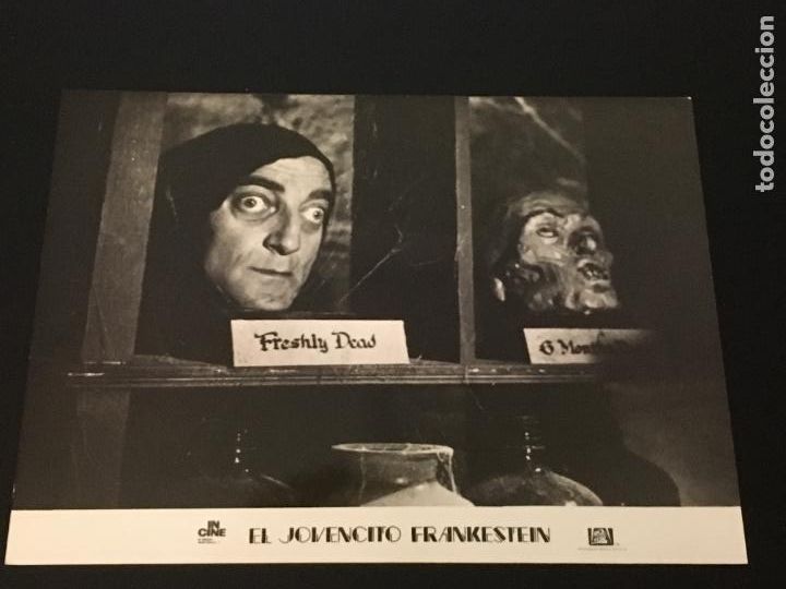 Cine: el jovencito frankenstein young mel brooks gene wilder marty feldman foto original antigua