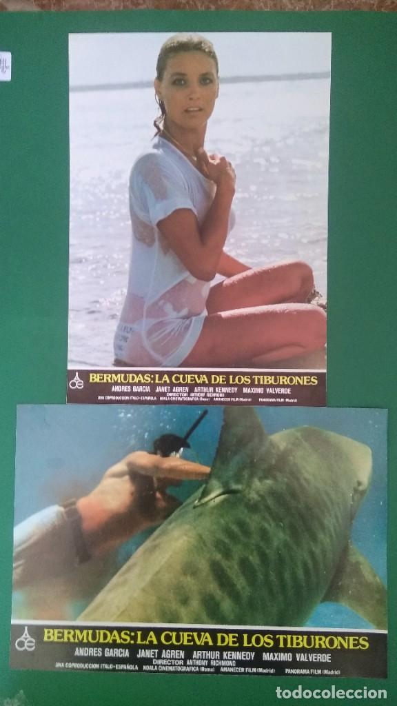 Kino: 2 FOTOCROMOS BERMUDAS LA CUEVA DE LOS TIBURONES 1978 - Janet Agren, Arthur Kennedy PERFECTO EST . F1