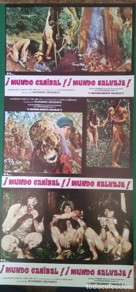 Kino: 3 FOTOCROMOS MUNDO CANIBAL MUNDO SALVAJE 1977 PERFECTO ESTADO. F1