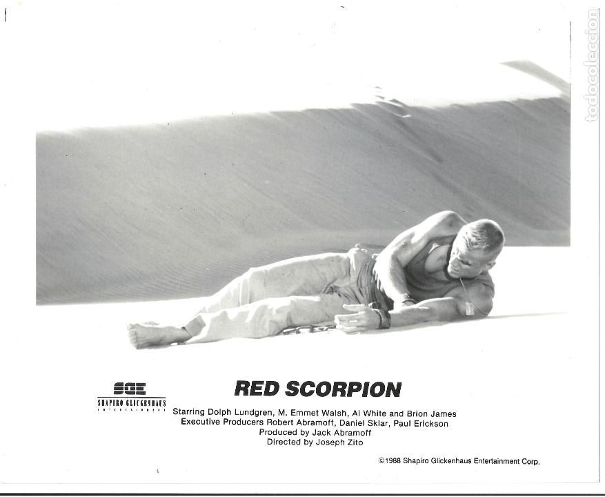 Kino: F32192 DOLPH LUNDGREN RED SCORPION FOTO B/N ORIGINAL AMERICANA