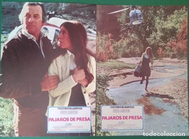 Kino: PAJAROS DE PRESA-1973-David Janssen , Ralph Meeker-2 FOTOCROMOS . PERFECTO ESTADO. F1