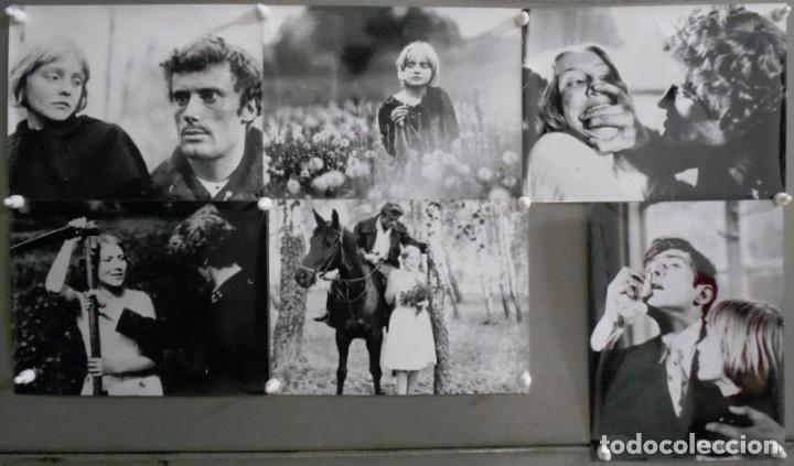 Cinema: F27751D THE BIRCH WOOD ANDREJ WAJDA 6 FOTOS B/N ORIGINALES ESPA&Ntilde;OLAS