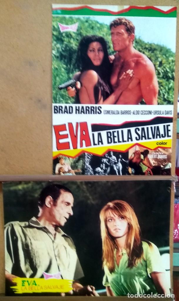 Kino: 2 FOTOCROMO CINE - EVA LA BELLA SALVAJE- BRAD HARRIS - LOTE DE 2 - BUENO - F3