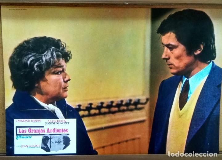 Cinema: FOTOCROMO DE CINE - LAS GRANJAS ARDIENTES -ALAIN DELON-RAYMOND DANON - F3