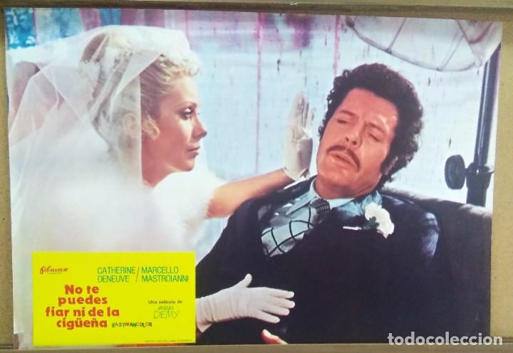 Cinema: FOTOCROMO DE CINE - NO TE PUEDES FIAR DE LA CIGUE&Ntilde;A - MARCELLO MASTROIANNI, CATHERINE DENEUVE -F3