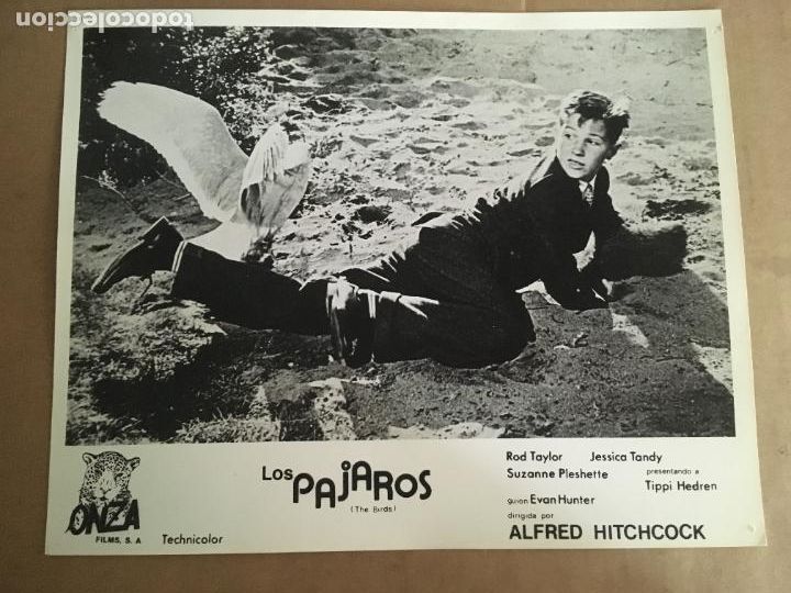 Cine: los pajaros the birds alfred hitchcock foto original reposicion