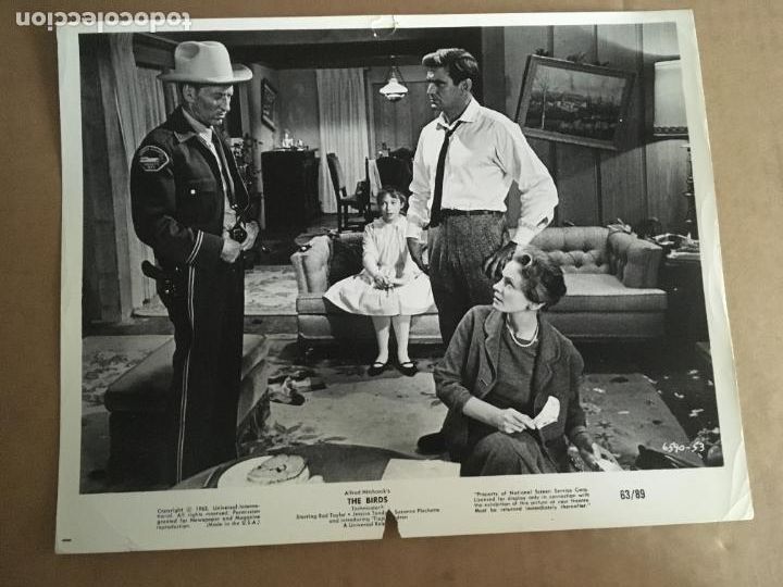 Cine: los pajaros the birds rod taylor tippi hedren alfred hitchcock foto original estreno