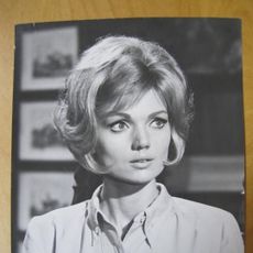 betsy bell - foto original b/n - actress - 7 mi - Compra venta en ...